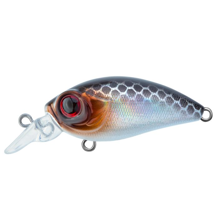 TRIDENT VA Riot SR 36F VA009