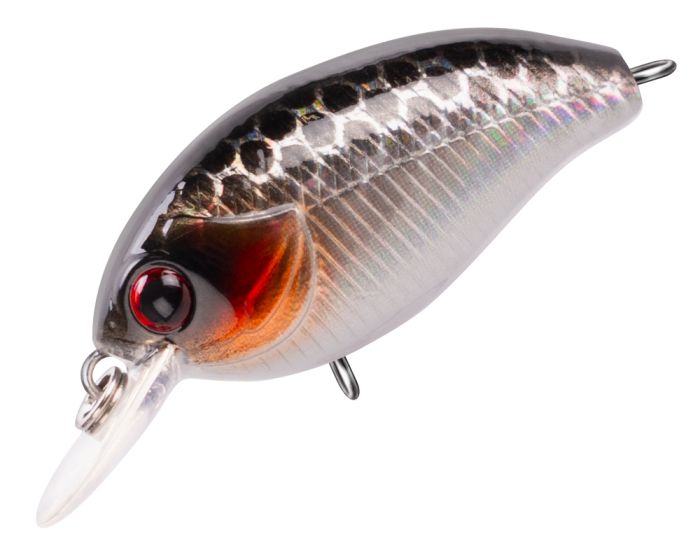 TRIDENT VA Reach SR 36F VA009