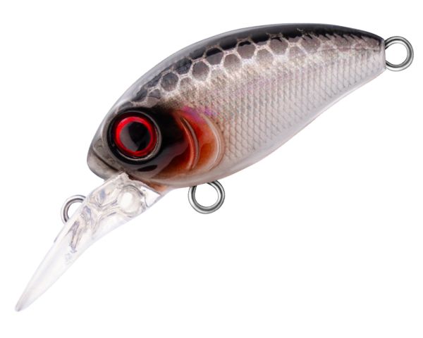 TRIDENT VA Riot DR 32F VA009