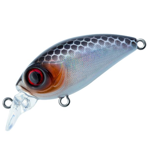 TRIDENT VA Riot SR 42F VA009