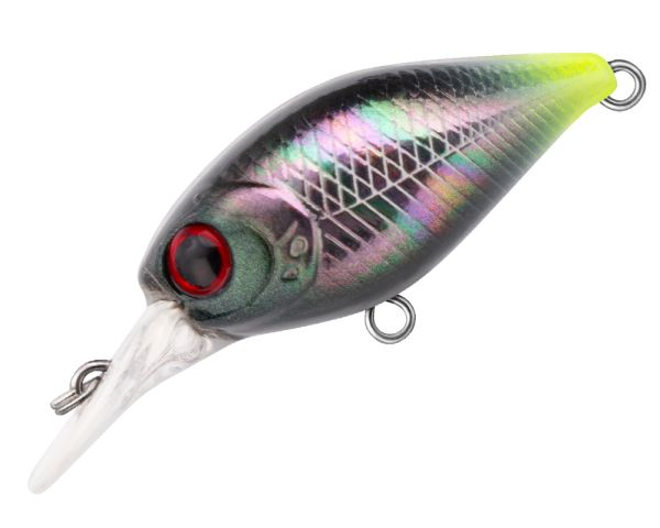 TRIDENT VA Chic MR 35F VA026