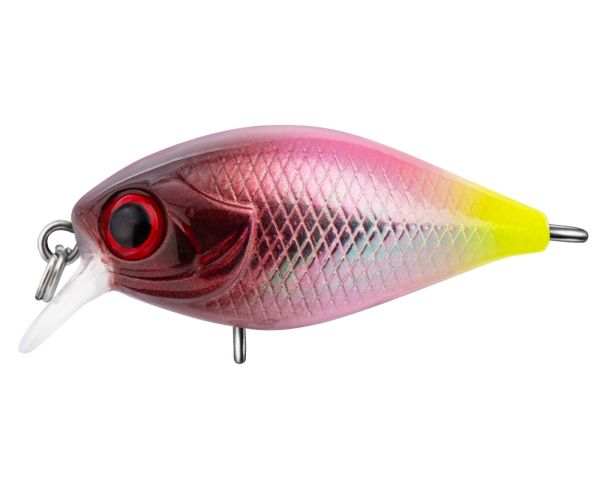 TRIDENT VA Chic SR 36F VA026