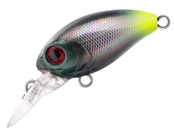 TRIDENT VA Riot DR 32F VA026