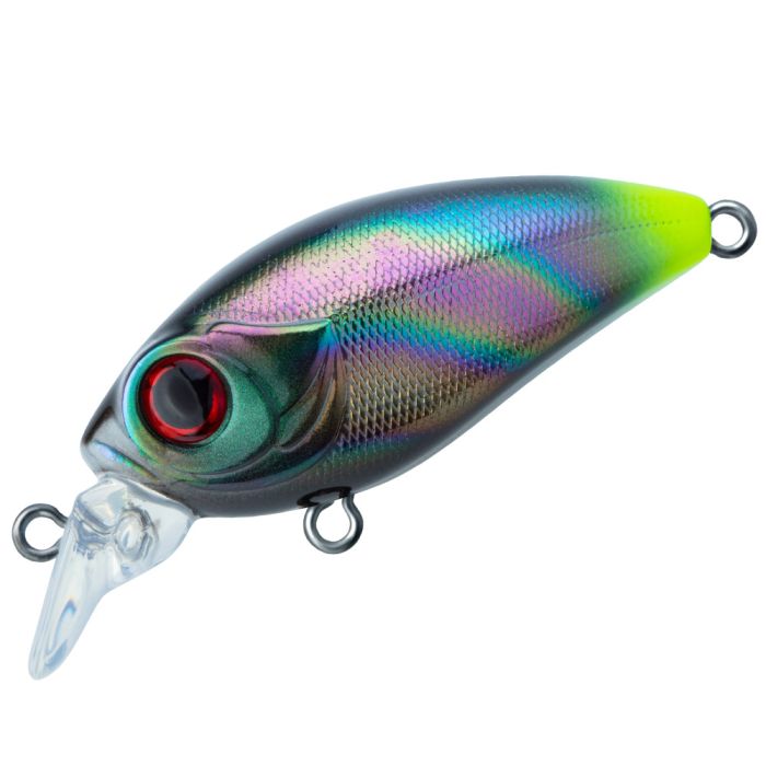 TRIDENT VA Riot SR 42F VA026