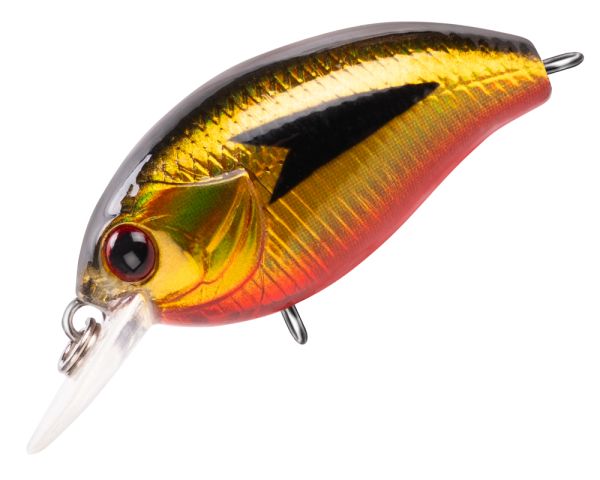 TRIDENT VA Reach SR 36F VA036