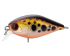 TRIDENT VA Chic SR 36F VA037